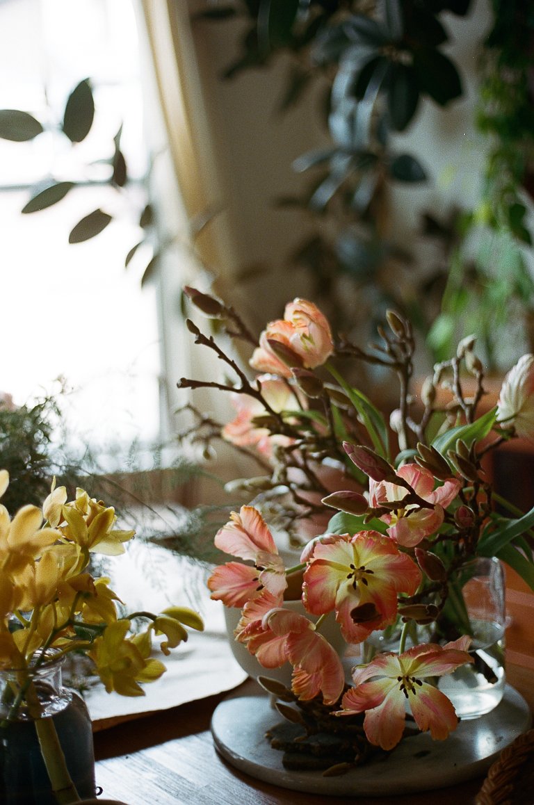 Collaboration with Portland florist Alea Joy, we made a floral installation with Finley Jordan and Pony Reinhardt.